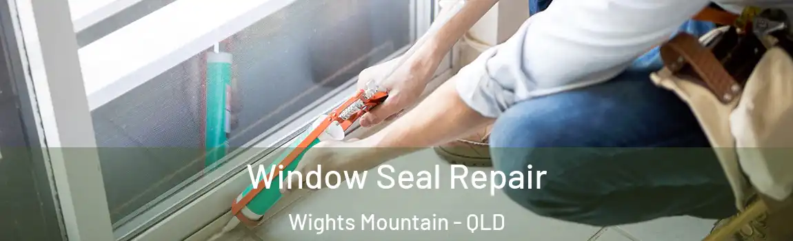 Window Seal Repair Wights Mountain - QLD