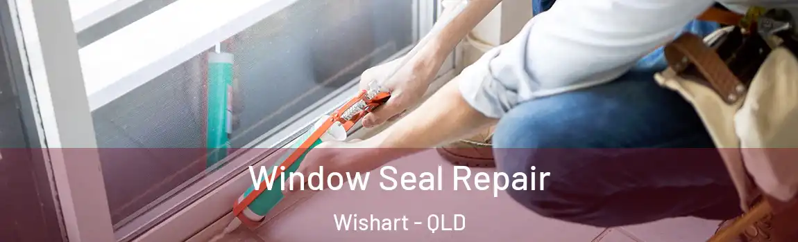 Window Seal Repair Wishart - QLD