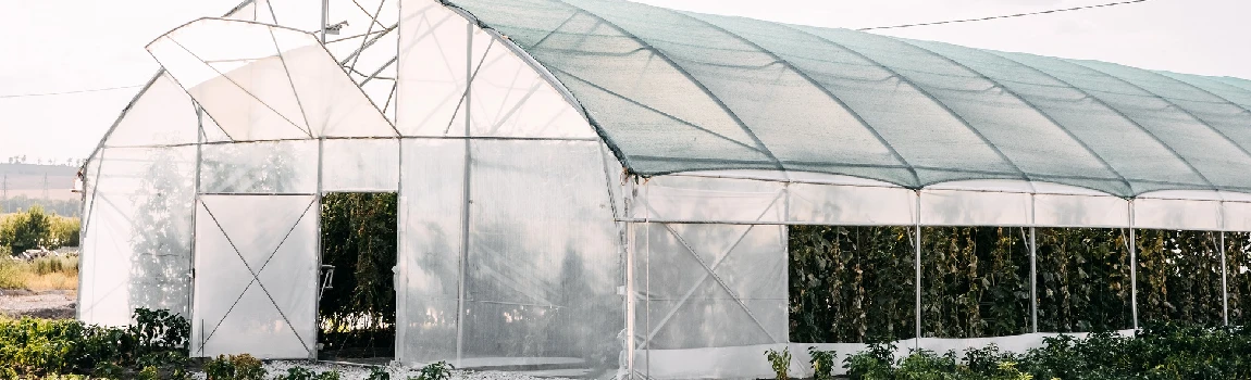 Safe And Reliable Glass Greenhouse in Cryna